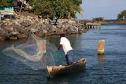 Net Fisherman Coxen Hole Roatan Honduras