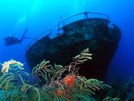 John at the Bow of the Sea Star Grand Bahamas Basket star in forground