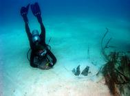 Deb & Southern Sting Ray at the wreck of the Miami Rita Bahamas