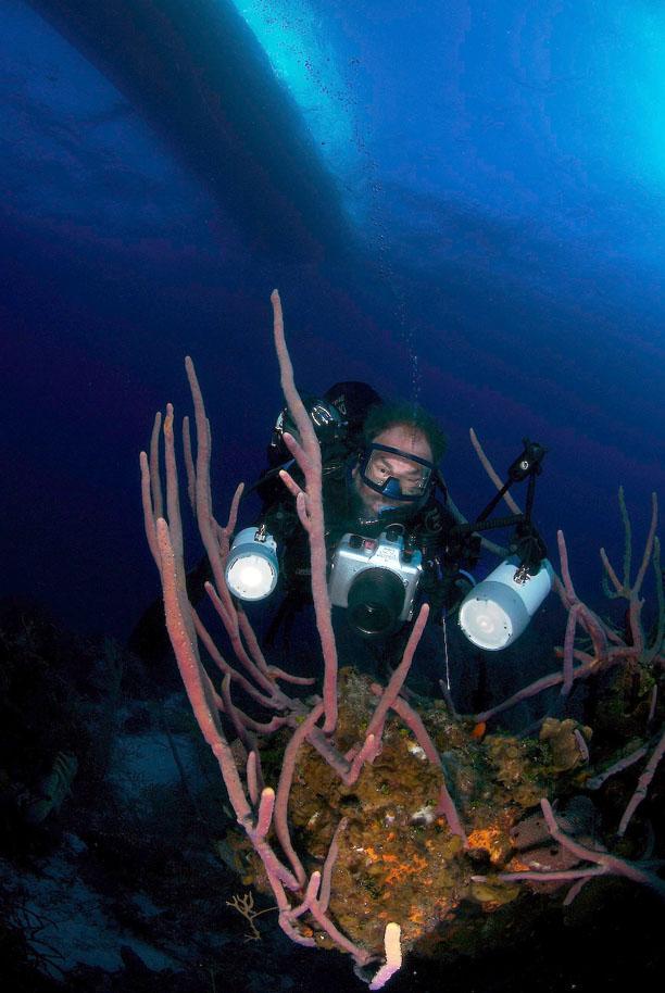 Macro underwater photography and Classes