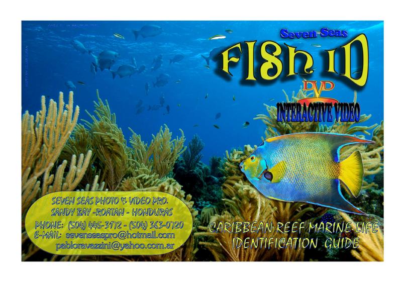 Fish ID DVD Roatan