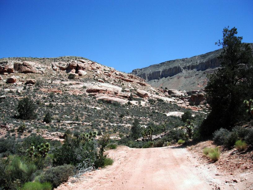 816_DSCF0442_On_a_trail_in_the_AZ_Strip_2010.jpg