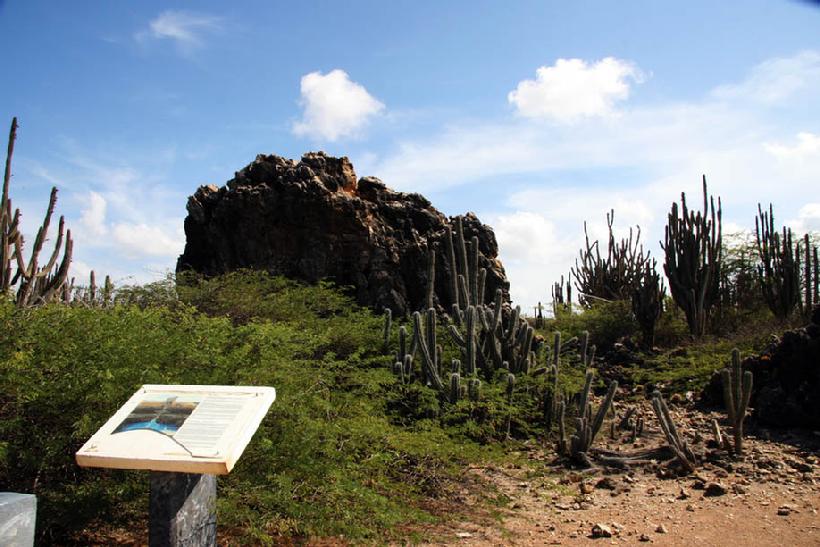 820_IMG_2852_Mother_Rock_on_Bonaire_09.jpg