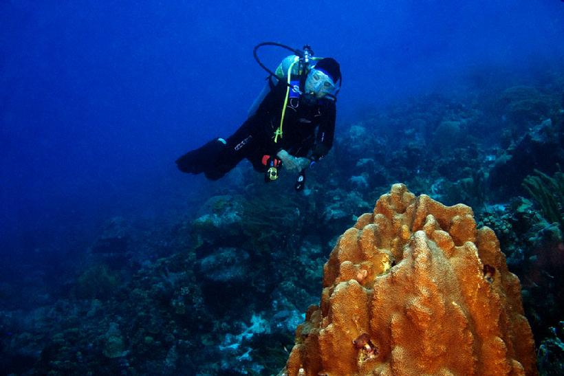 820__MG_7195_Nan_on_the_reef_Bonaire_12-09_IV.jpg