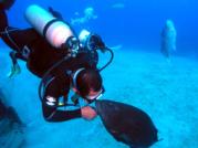 Gustavo kisses his Black Grouper Friend at the Egale Wreck Roatan Honduras