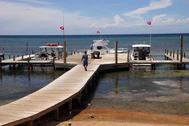docks at BIBR Roatan Honduras