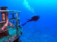 Deb on the Sea Star Grand Bahama