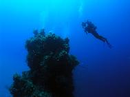 Rod on the Pinnacle Elutheria Bahamas