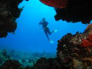 Debbie at Cave Rock Elutheria Bahamas