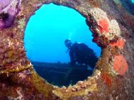 Breven in the Porthole of the Miami Rita wreck Bahamas