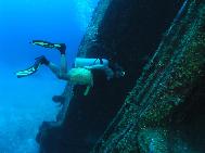 Jim Swarts Swims into the Egale Wreck in Roatan Honduras